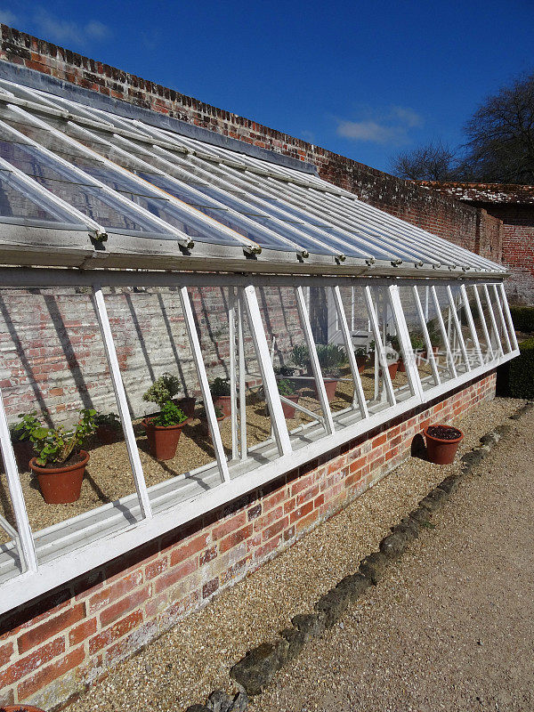 白色温室/温室在菜园，红砖基地